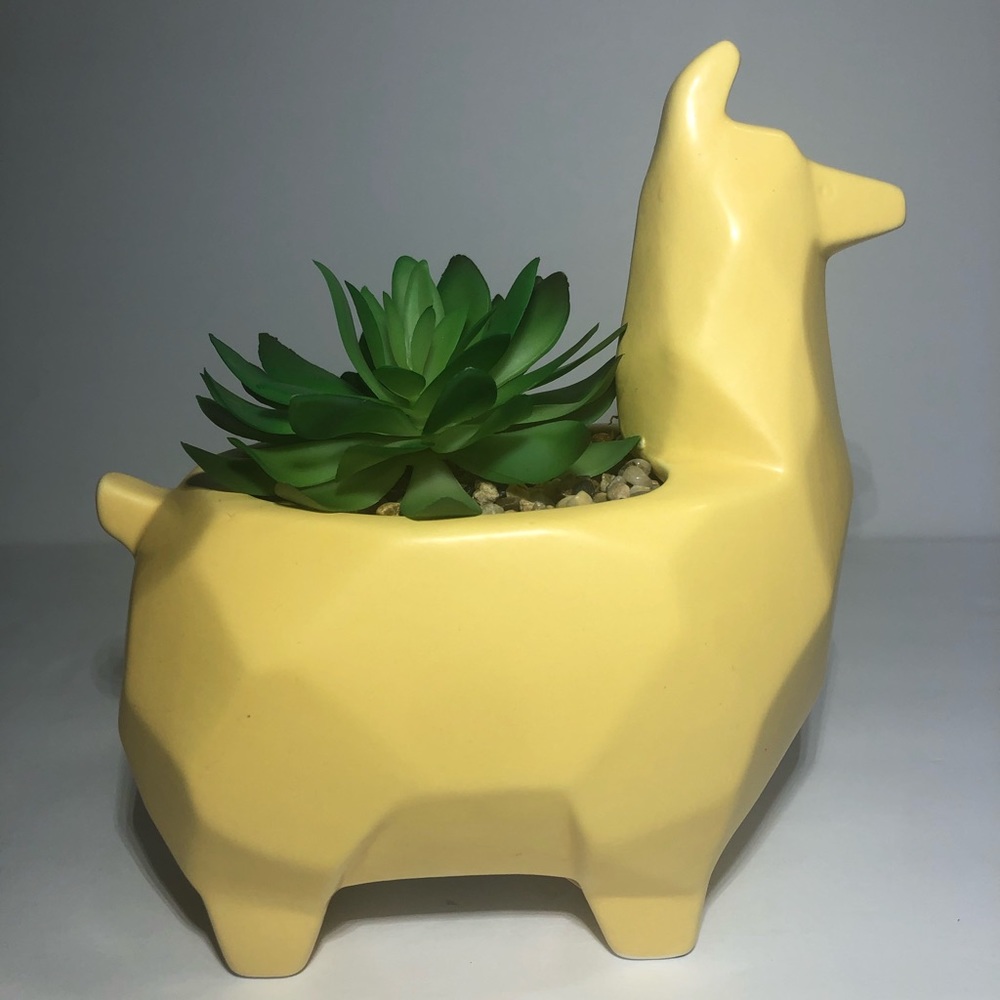 Llama artificial succulent plant